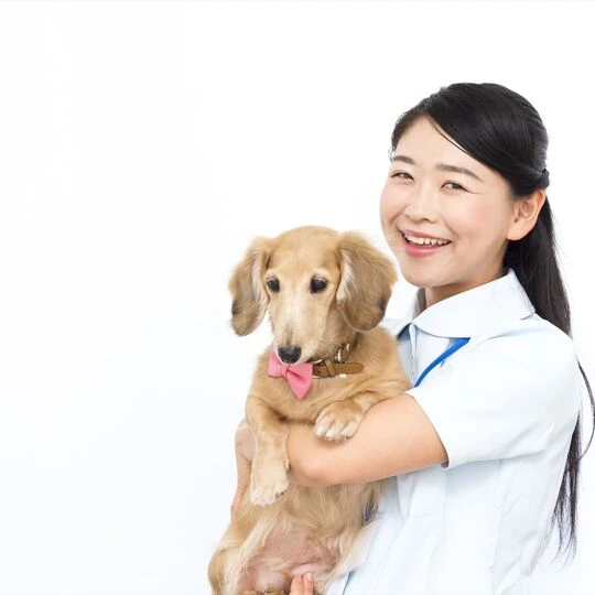 笑顔の動物看護士