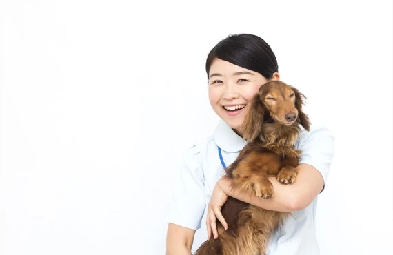 求人を実施 | 埼玉県さいたま市で動物病院の求人ならぞのペットクリニック