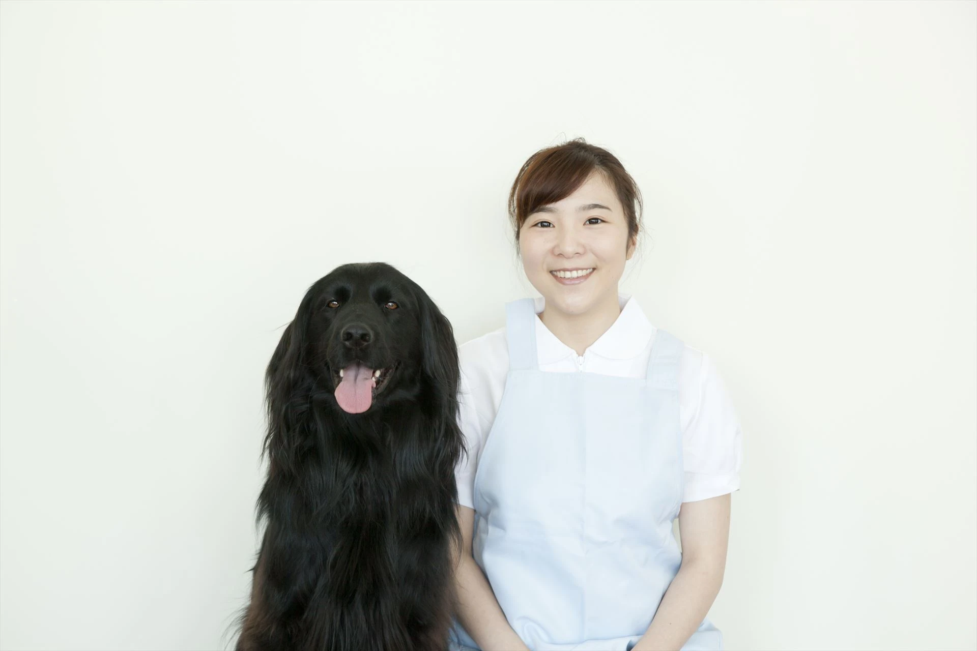 犬をなでるスタッフ