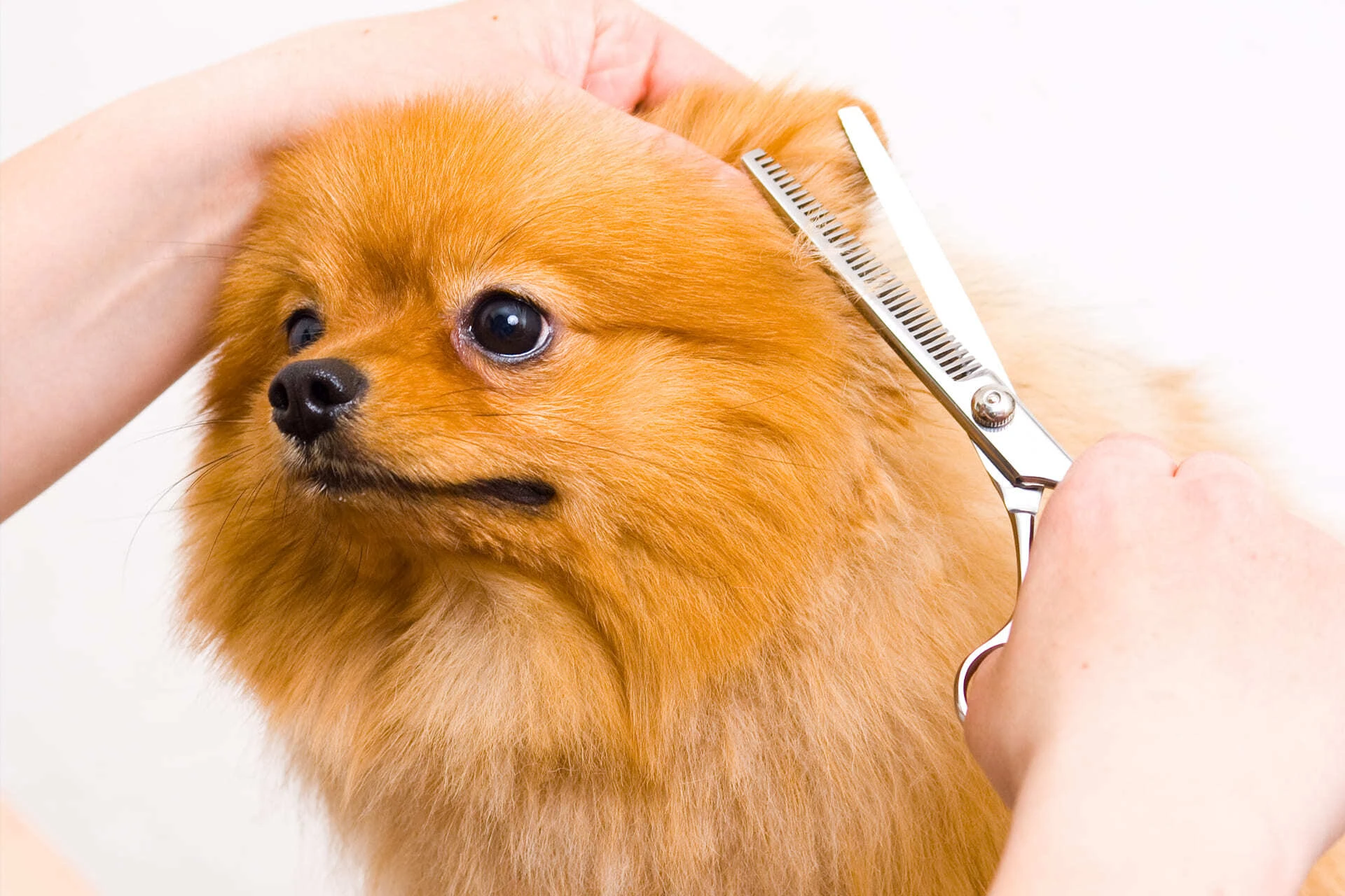 AdobeStock_51902012 (1)