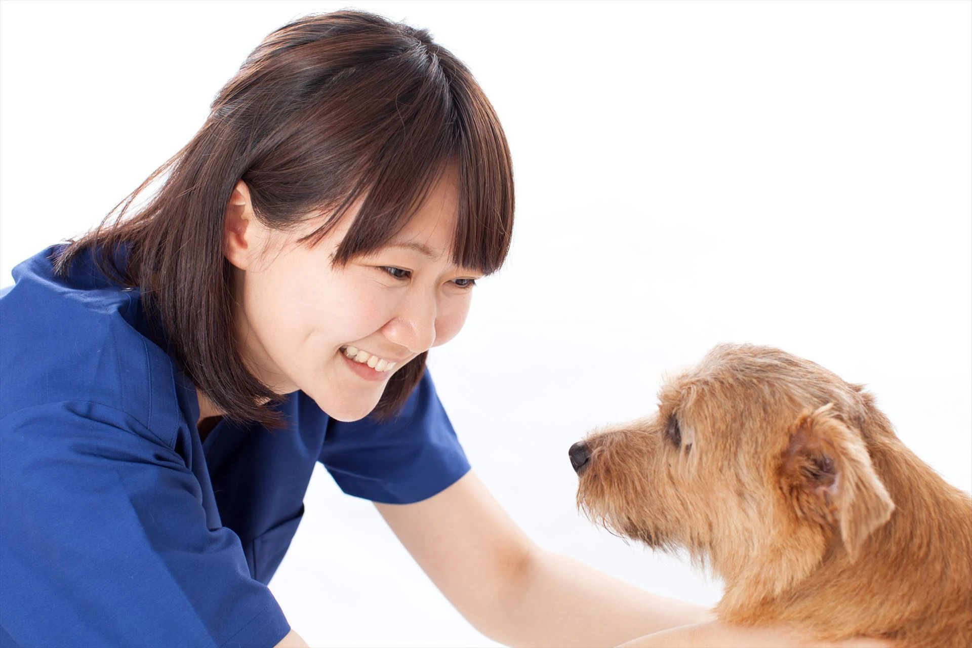 犬を抱く動物看護士