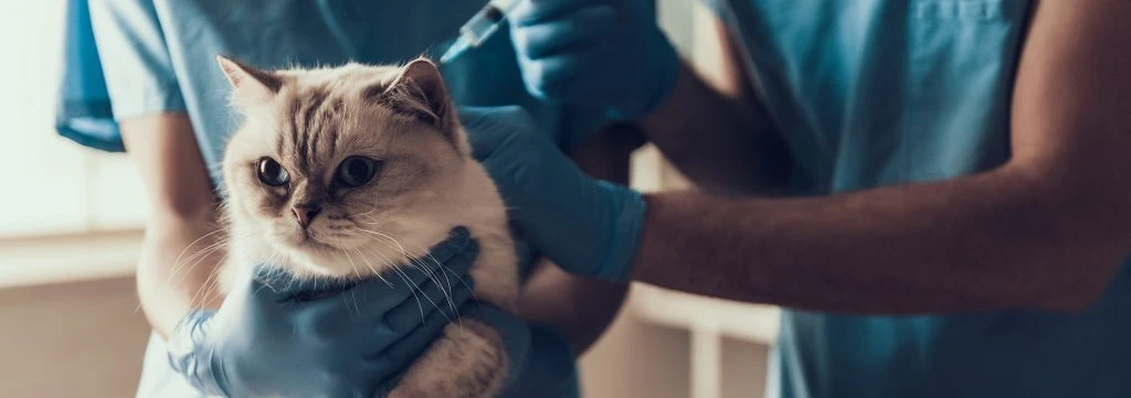 治療方法